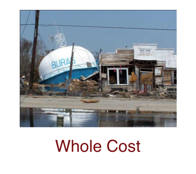 whole-cost